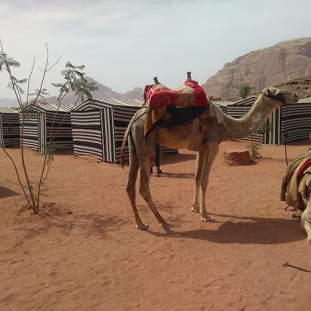 Rum Oasis Camp Wadi Rum Exterior photo