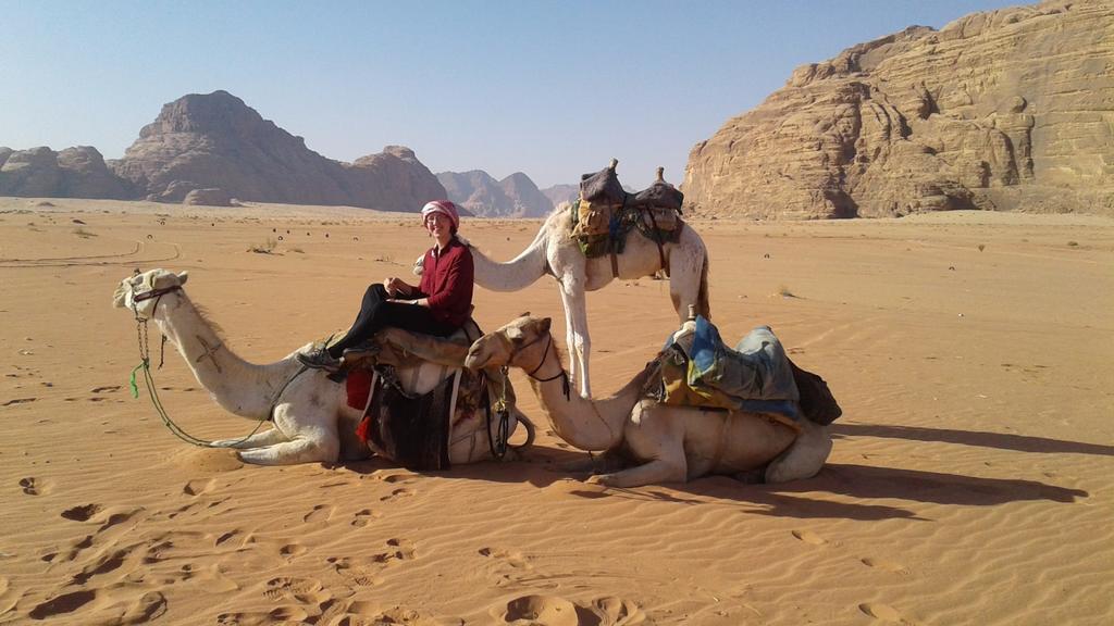 Rum Oasis Camp Wadi Rum Exterior photo