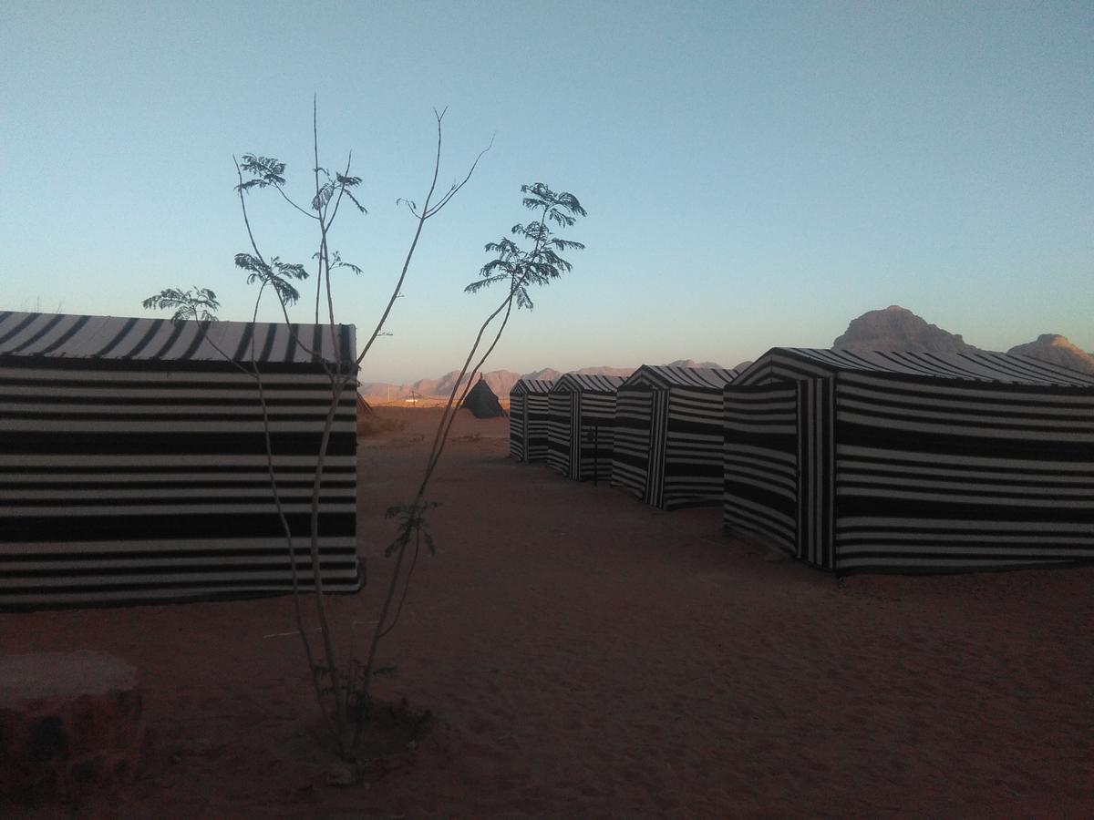 Rum Oasis Camp Wadi Rum Exterior photo