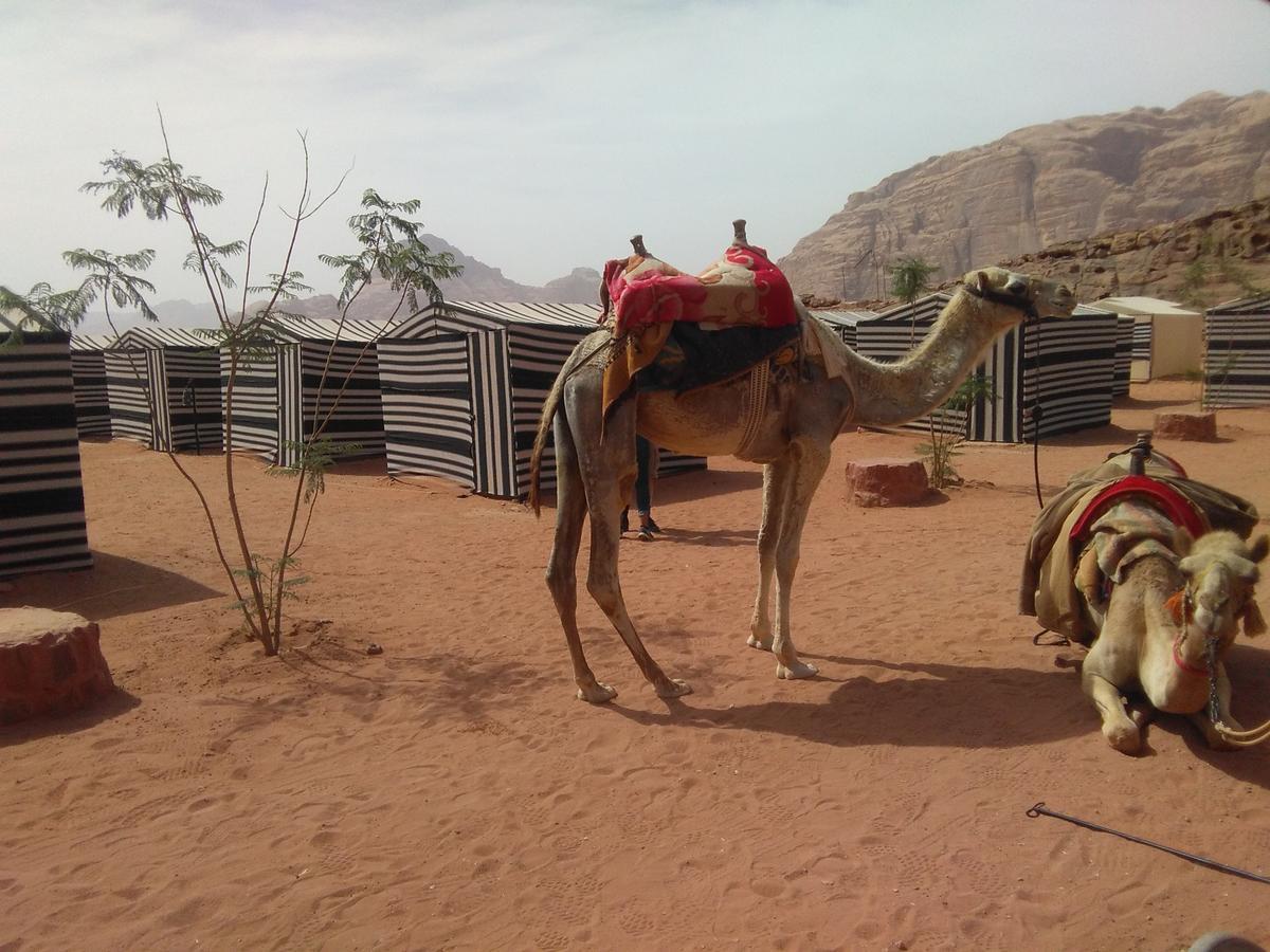 Rum Oasis Camp Wadi Rum Exterior photo