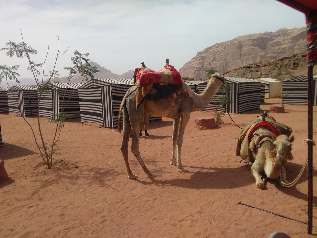 Rum Oasis Camp Wadi Rum Exterior photo